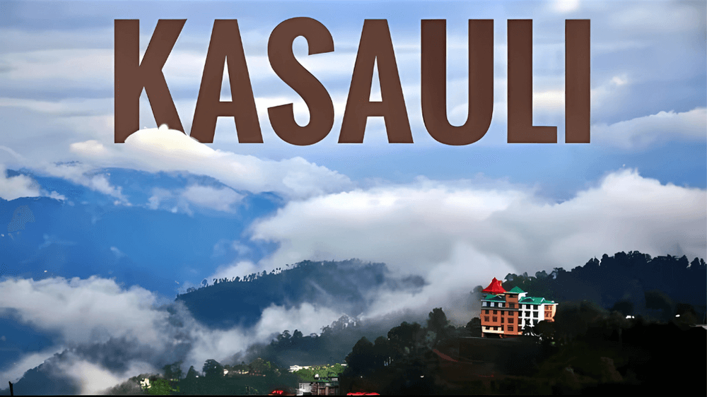 Travo Stay - Kasauli 1