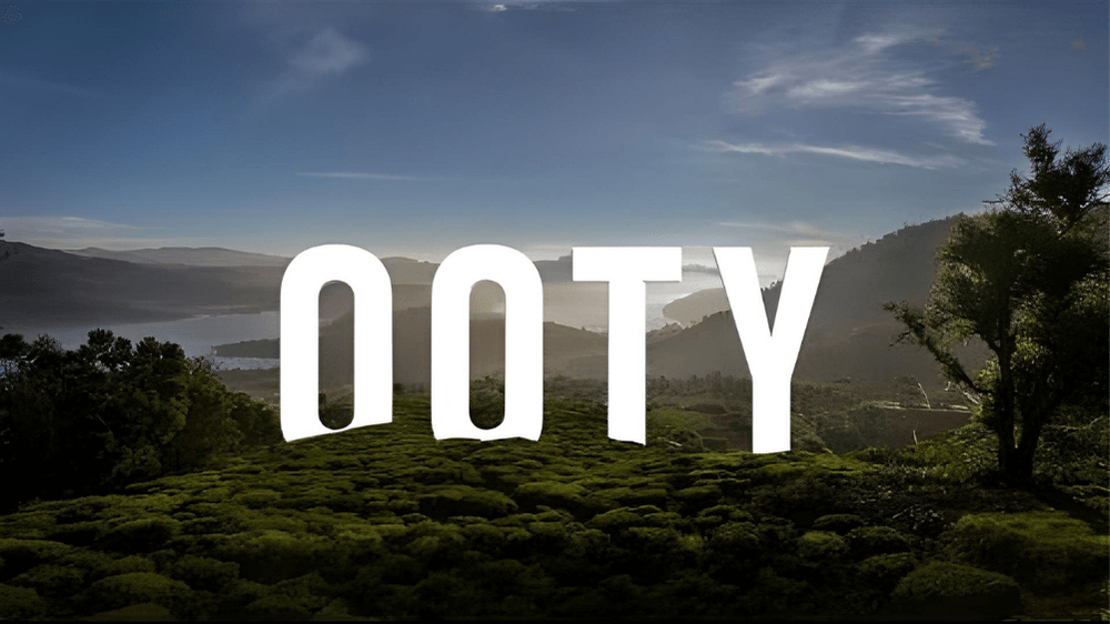Travo Stay - Ooty 1