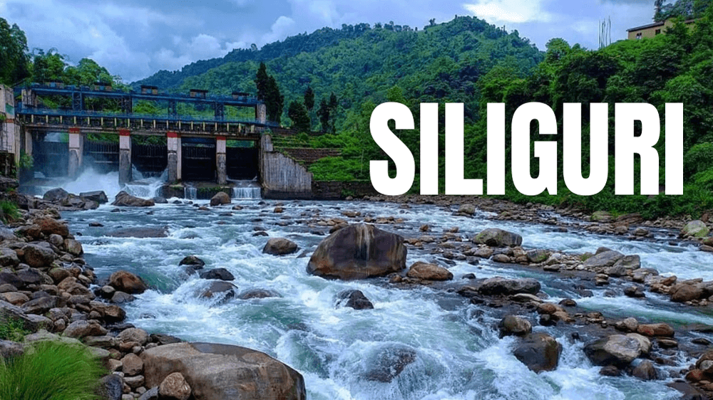 Accommodation Category: <span>Siliguri</span>